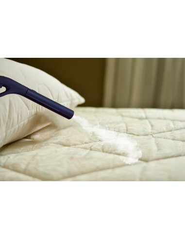 D-VAP CIMEX la vapeur contre les punaises de lit - 100 % français - PRISM