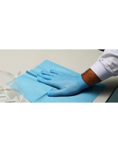 DIAGBOX® : Punaise de lit